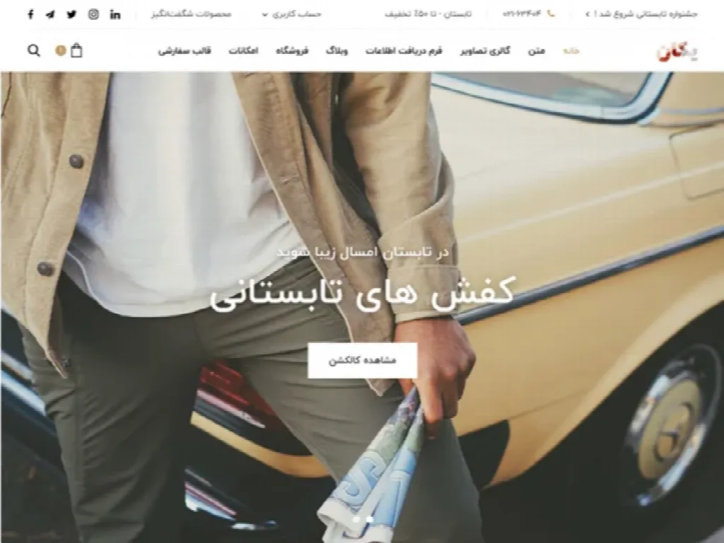 wordpress
